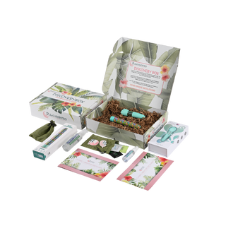 Classic Vibrator Discovery Box